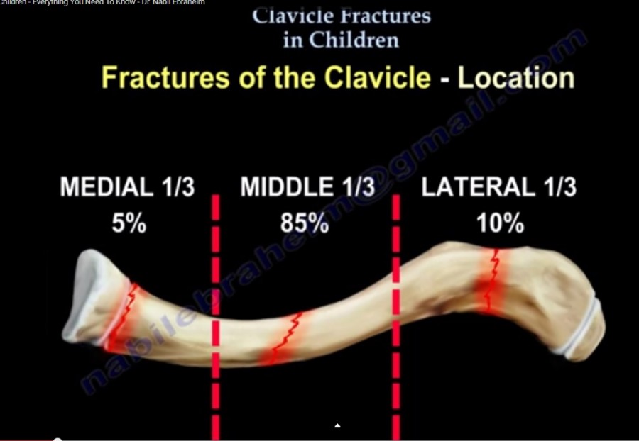 is clavicle a flat bone