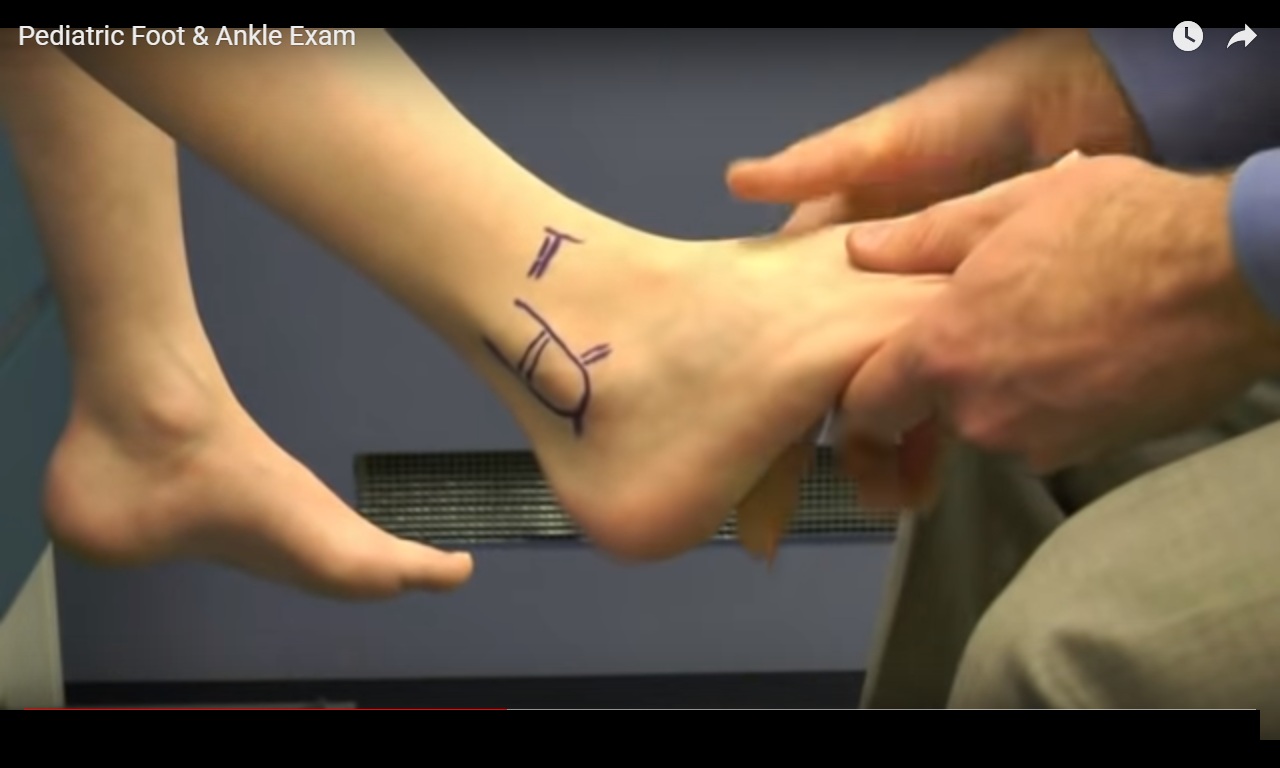Pediatric Foot and Ankle Exam —