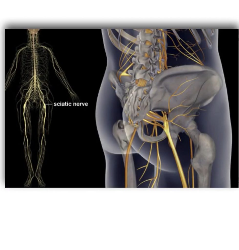 icd 10 code for sciatic nerve injury