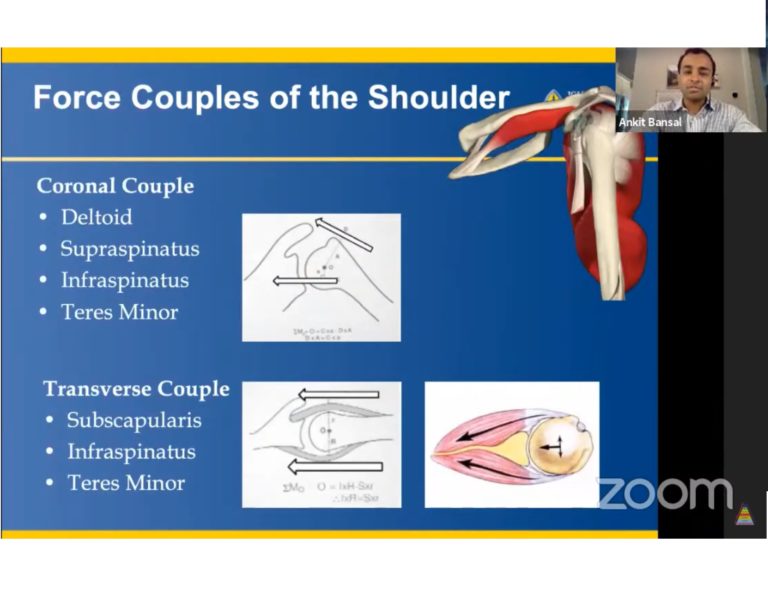 Rotator Cuff Tears Of Shoulder — OrthopaedicPrinciples.com