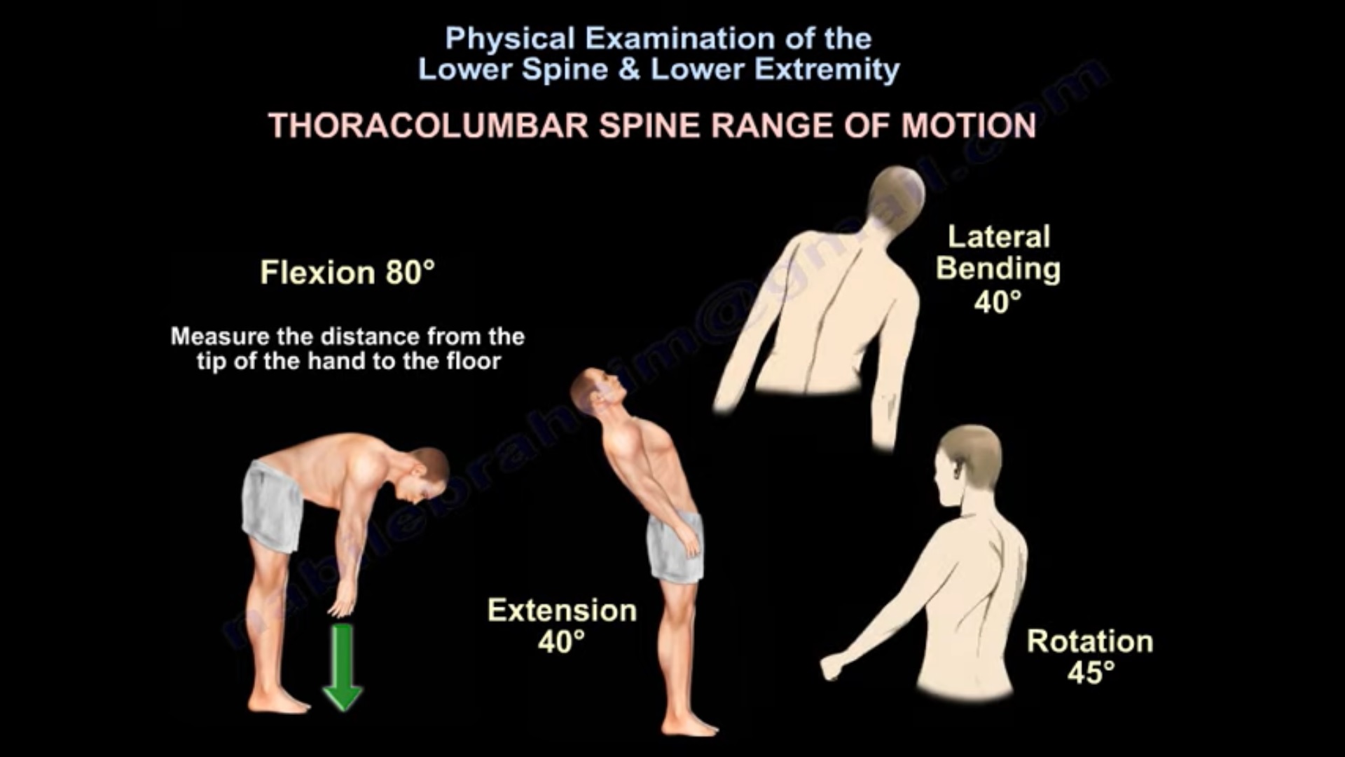 Physical Exam Of The Lower Spine Lower Extremity Physical Exam Of The Lower Spine Lower Extremity